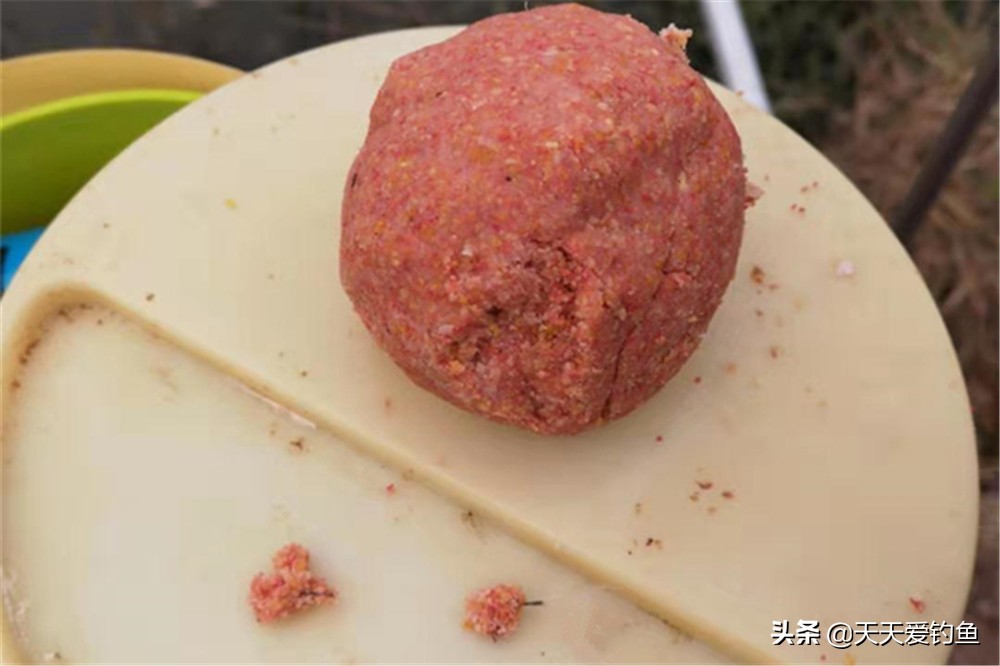 夏季高温麦穗鱼钓法,大麦穗鱼的最佳钓法