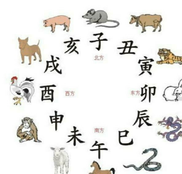 属相相合的民间说法,属相对冲的说法