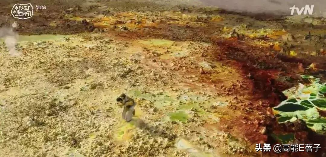 宋仲基最近的新剧,宋仲基2022新剧