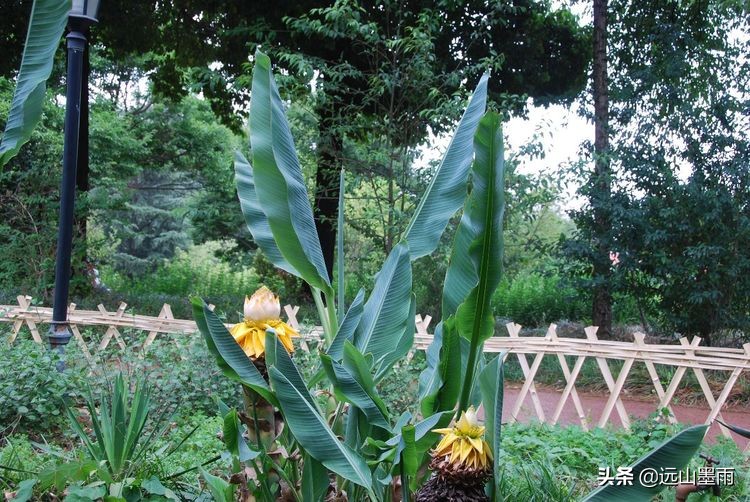 植物科学活动,第二十届公众科学日合肥