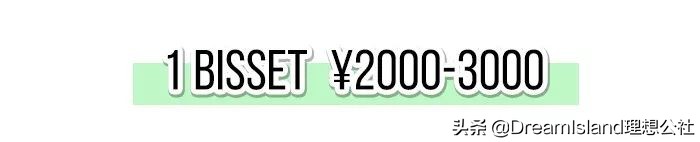香奈儿和lv哪款包包值得买,chanel包和lv包推荐