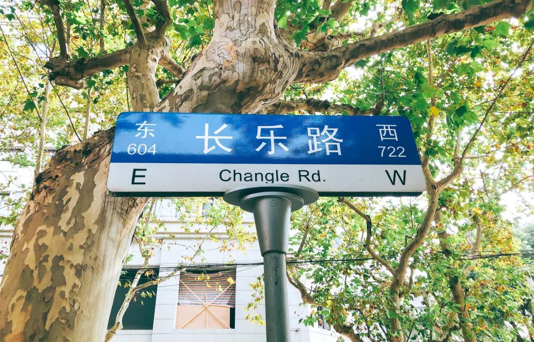 趣办空间|临窗观草木,*情纵**山水间:趣办@长乐路