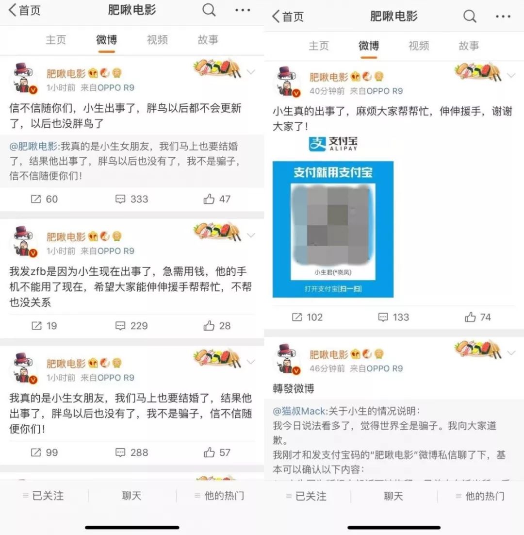 关于胖鸟,你们都说错了