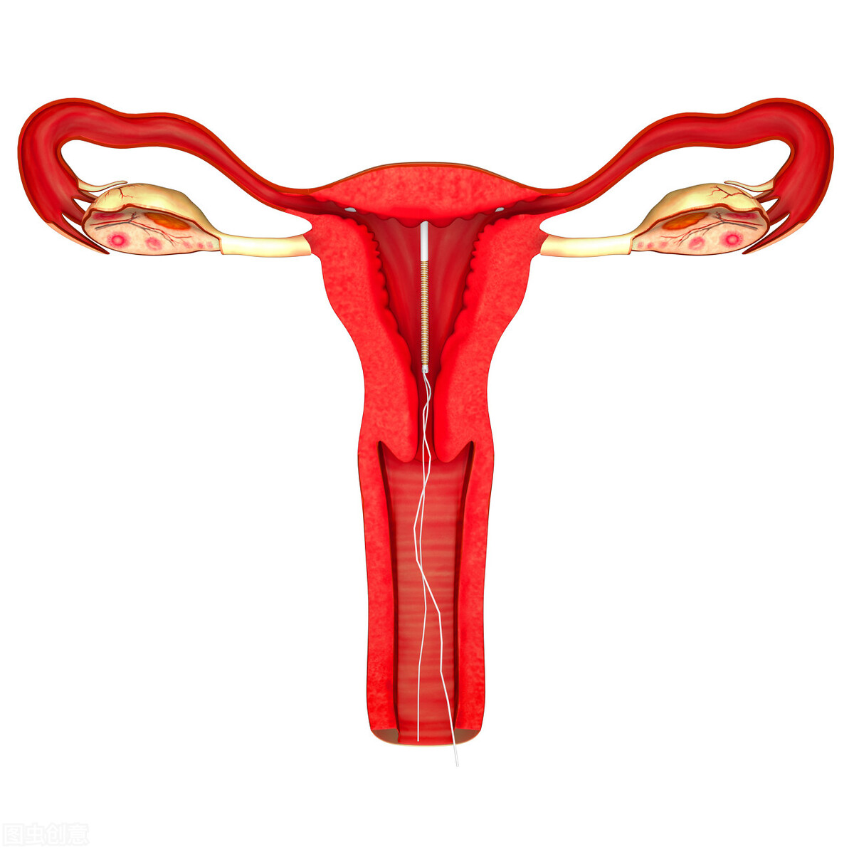 不想戴套又害怕怀孕？或许还真有其他办法