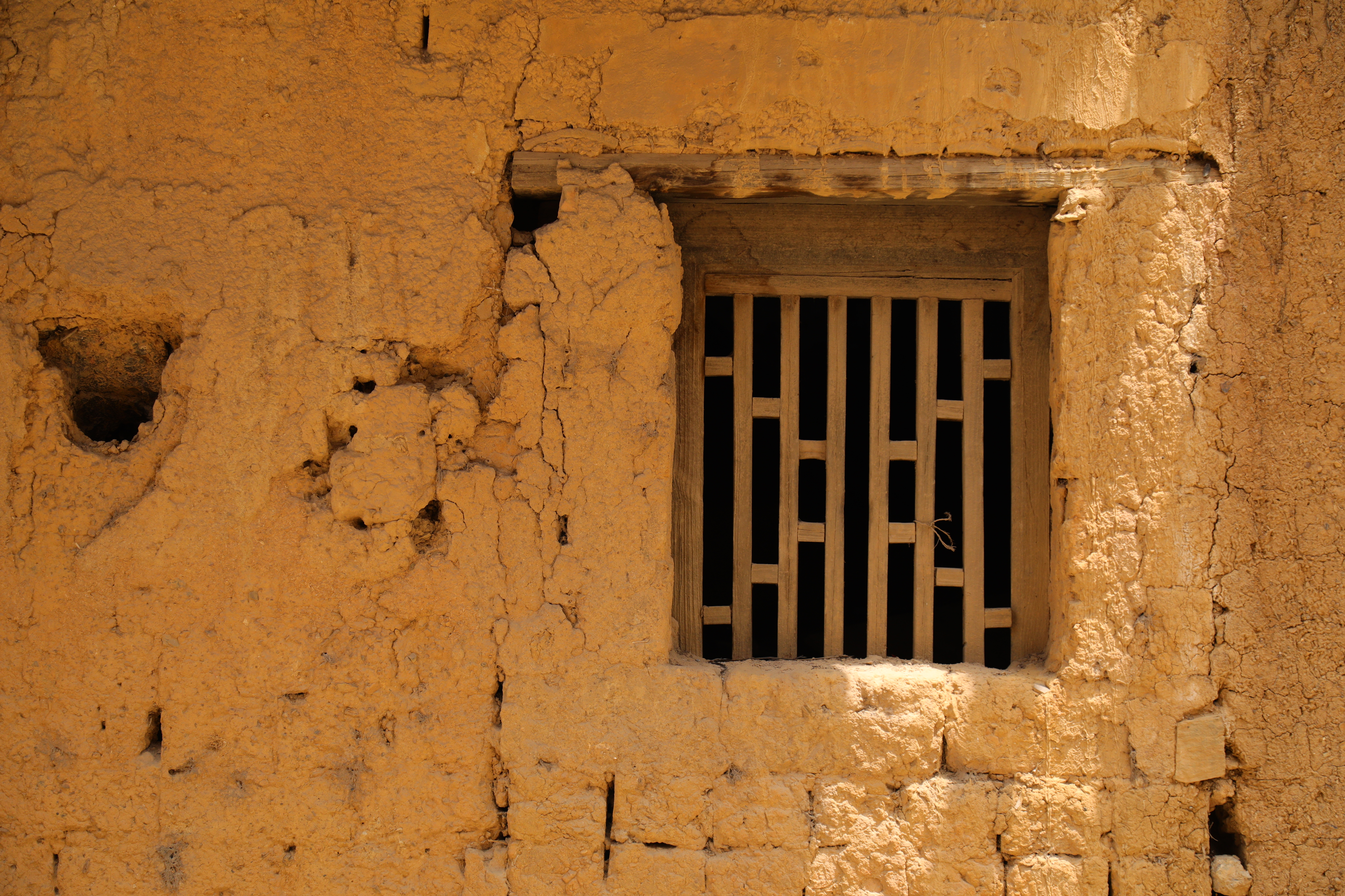 昆明轿子雪山2022元旦旅游攻略,元旦昆明周边有免费玩的景点吗