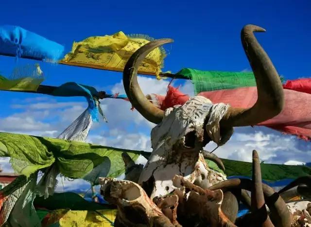 世界上海拔最高的公路！中国最神奇的天路！比川藏线还险10倍！