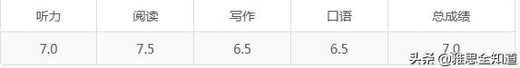 「雅思」这一年的雅思备考经验教训都扔这里
