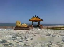 湛江最美的海滩,湛江沙滩旅游攻略