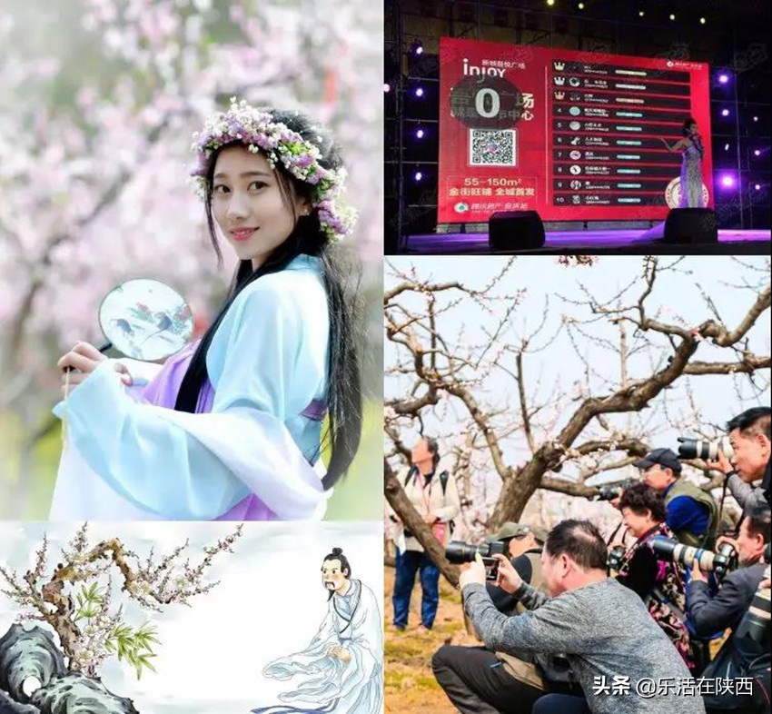 十里桃花总有一朵能够温暖你陕西华州赤水桃花节精彩抢先看