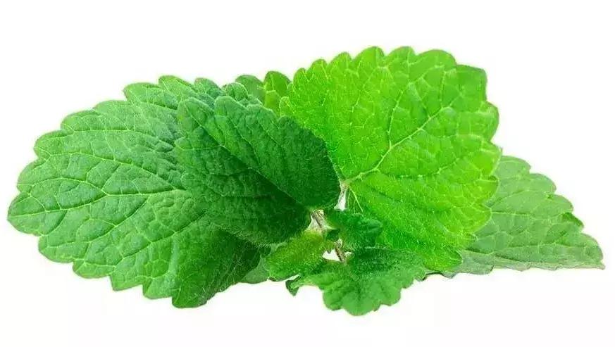 烟草危害,草烟合法吗