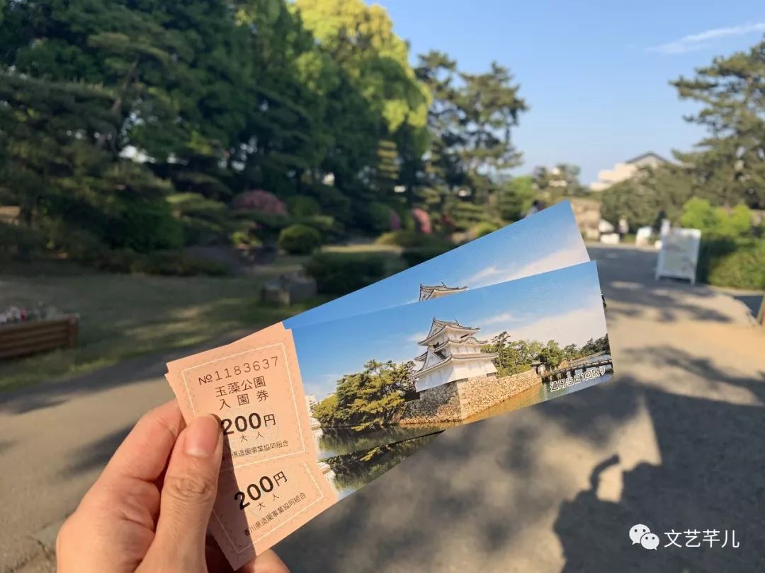 鏂囪壓鑺婂効鐢熸棩,鏂囪壓鑺婂効鐩存挱