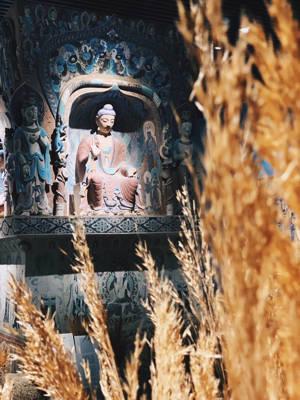 摄影师美食主播,摄影师美食博主