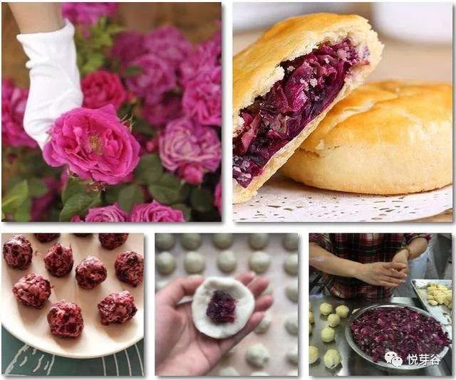 春末夏初,美美的三炫等你来