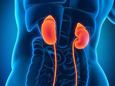 泌尿生殖系统肿瘤的早期预警信号