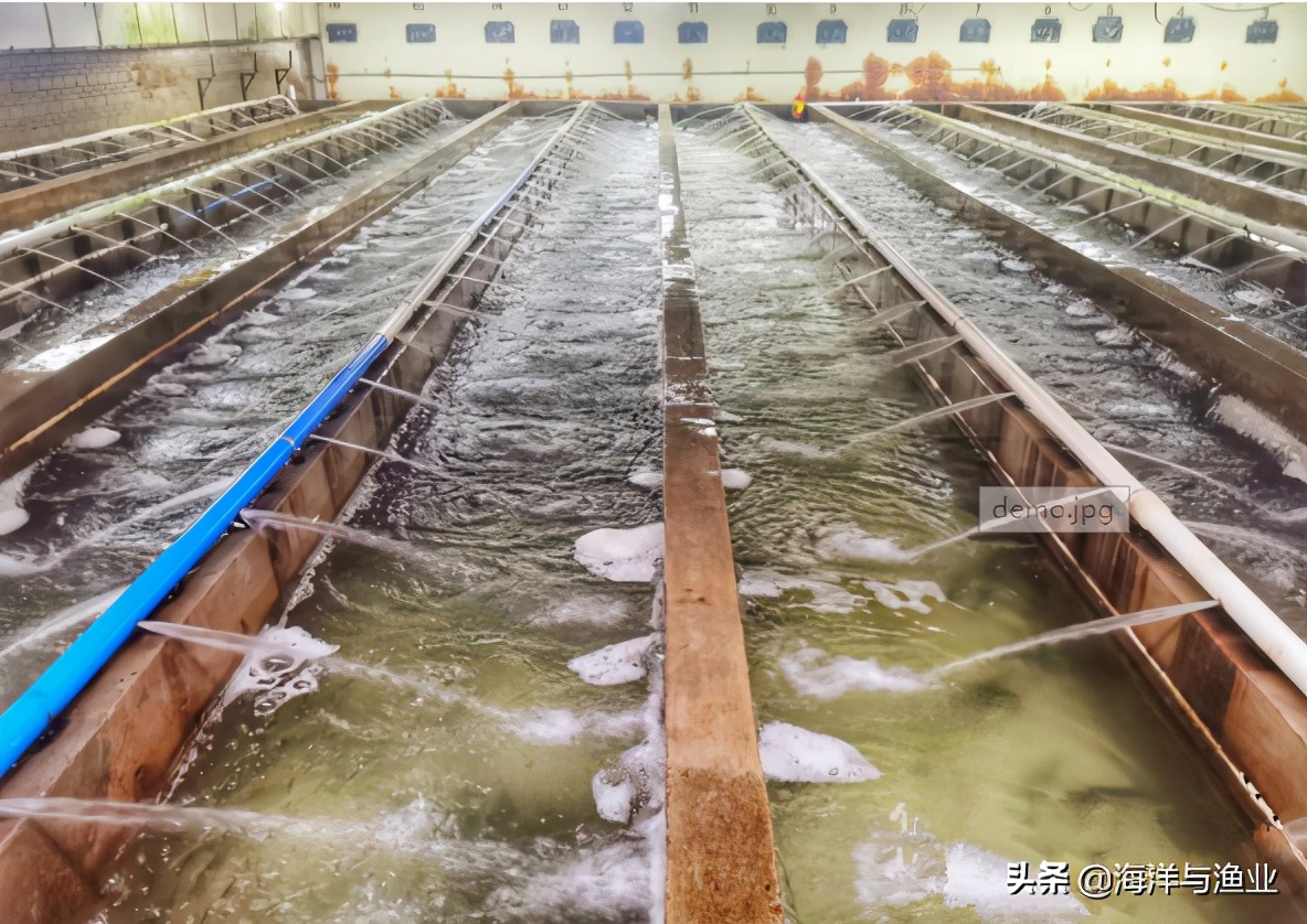 娲婚奔72灏忔椂,娲婚奔杩愯緭30灏忔椂涓嶆