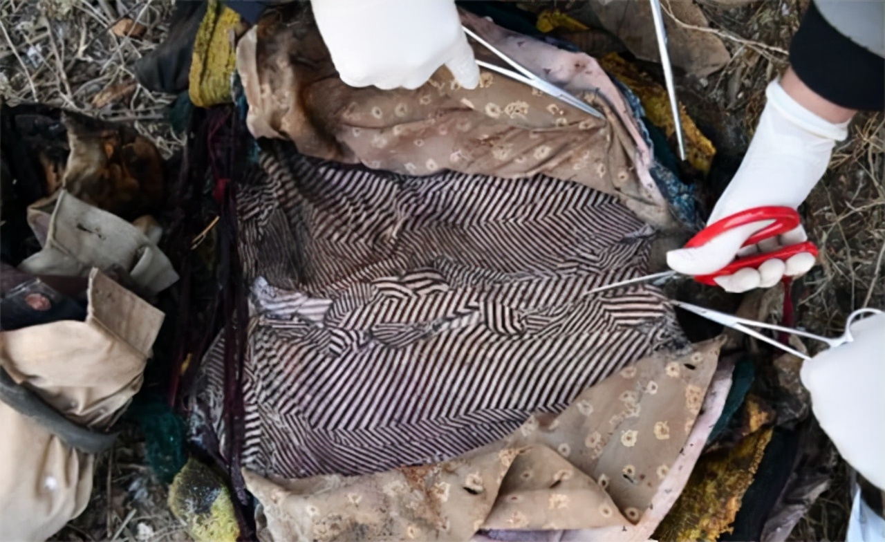 保定吴建臣杀人案纪实第二集,保定连环杀手吴建臣案图片