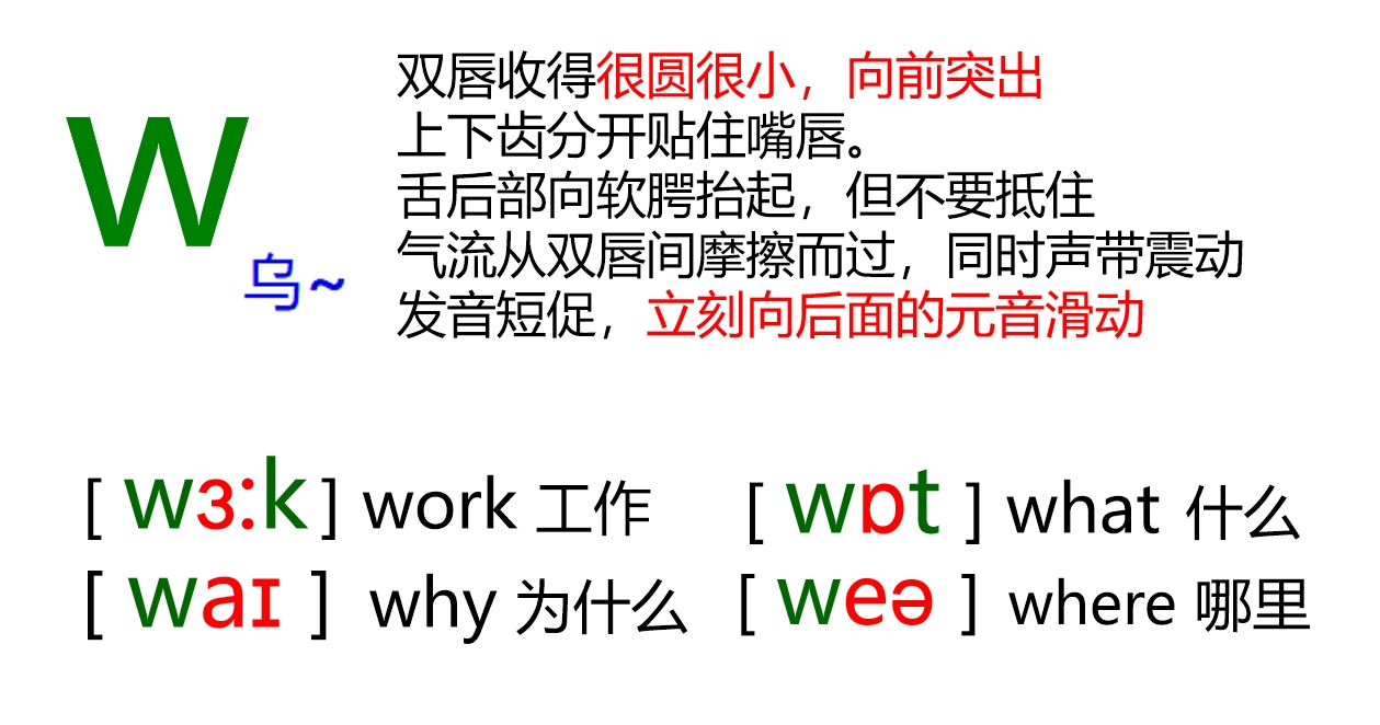 48个音标全套卡片作用,英语音标卡片48个正确发音嘴型