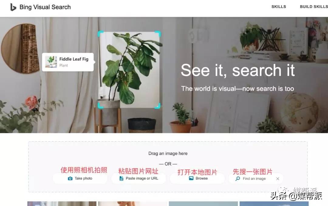 全网站最全识图工具,哪个识图软件比较强大