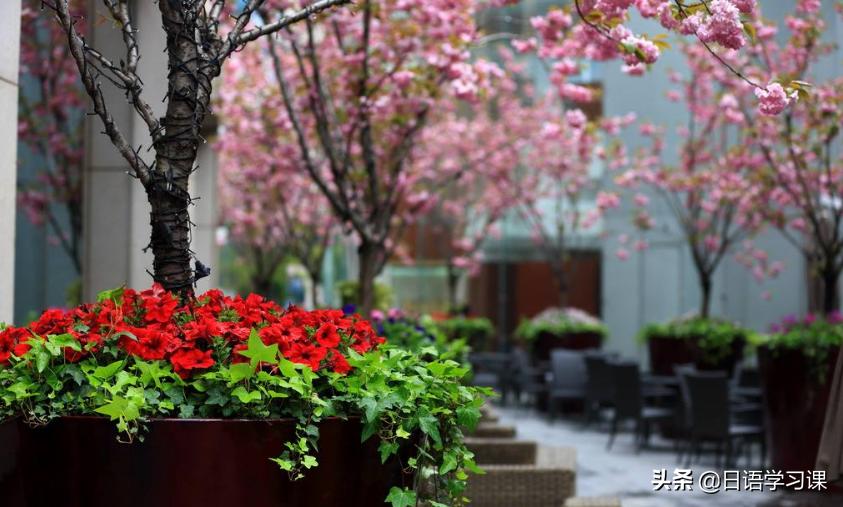 小白学日语如何快速提高口语,小白学日语视频教程