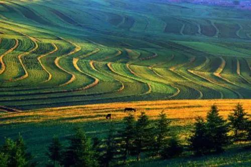 坝上三大景点,坝上草原是丰宁还是围场的