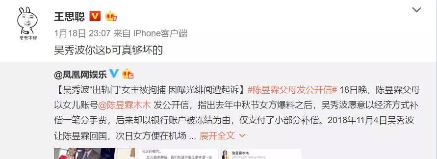 吴秀波女友被判多少年,吴秀波立案侦查合集