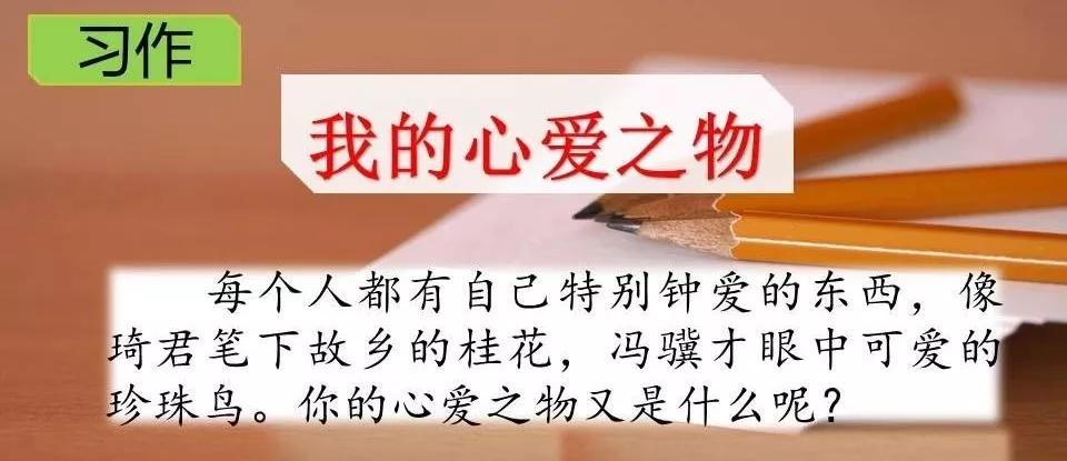 部编五上我的心爱之物作文,五上语文我的心爱之物范文