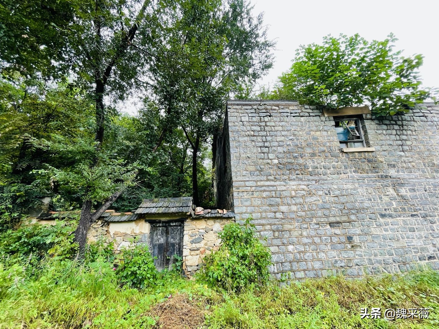 上世纪60年代红遍世界的大寨村,四十年前大寨村