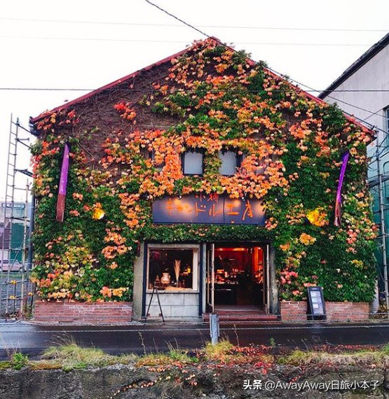 北海道小樽美食攻略,北海道小樽啤酒测评