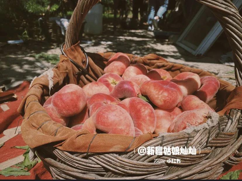 很好看的国货品牌,好吃的国货良心推荐