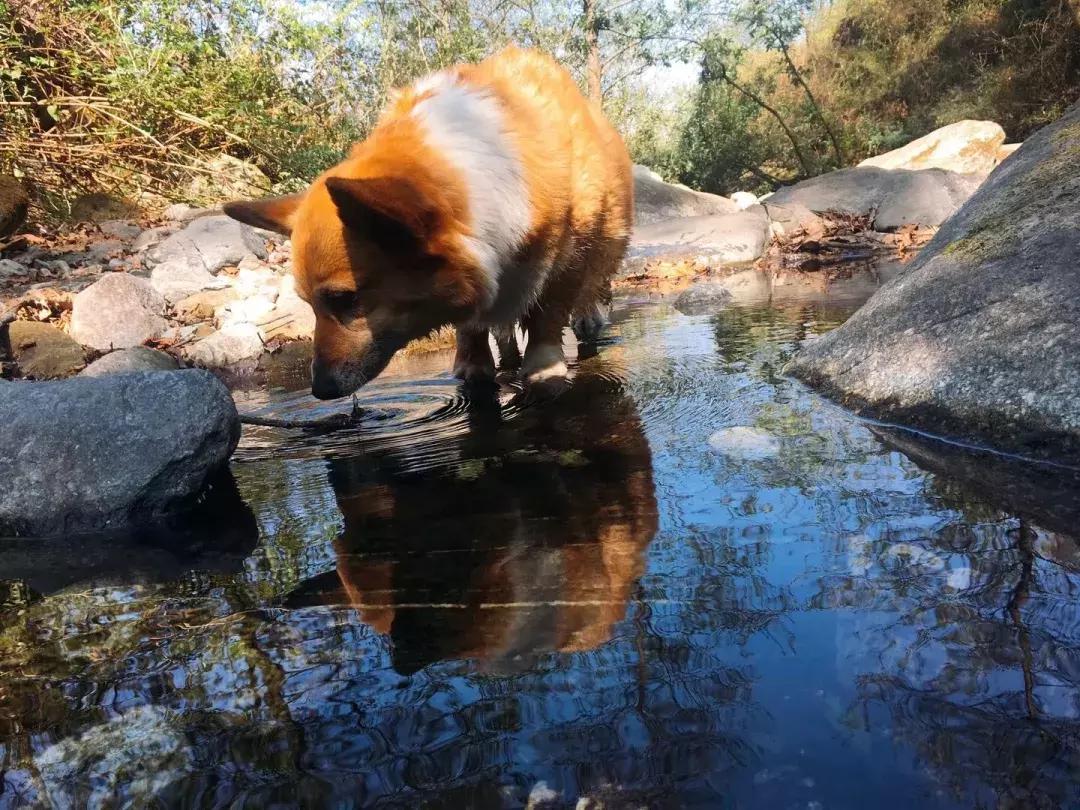 北漂在大理的生活,北漂女子住大理