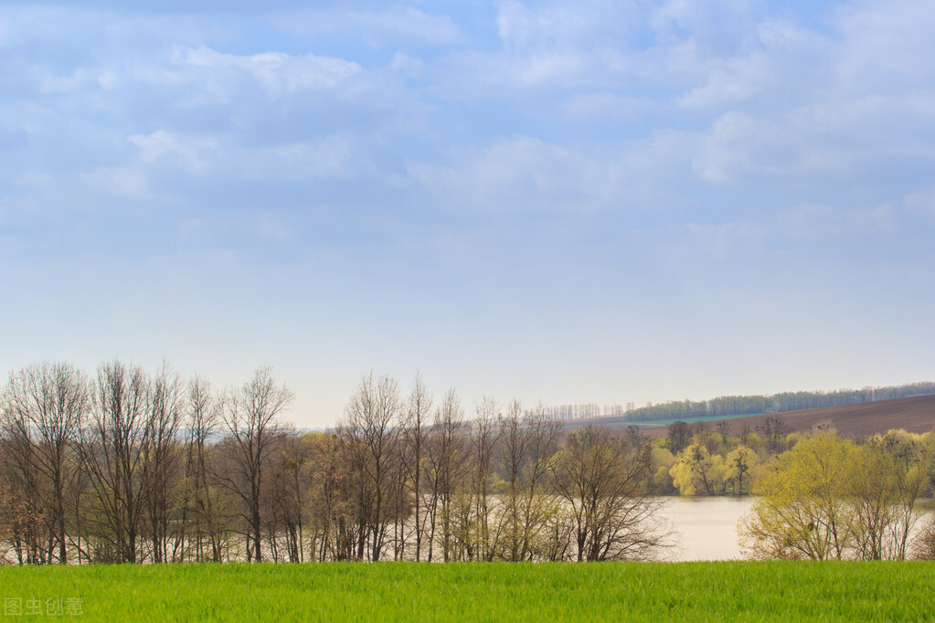 大智慧走势预测,大智慧预判