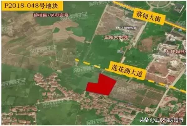 纯新盘入市带来购房良机,前有来者后一句是什么