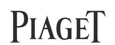 世界顶级的十大名表,世界十大名表豪华程度排名