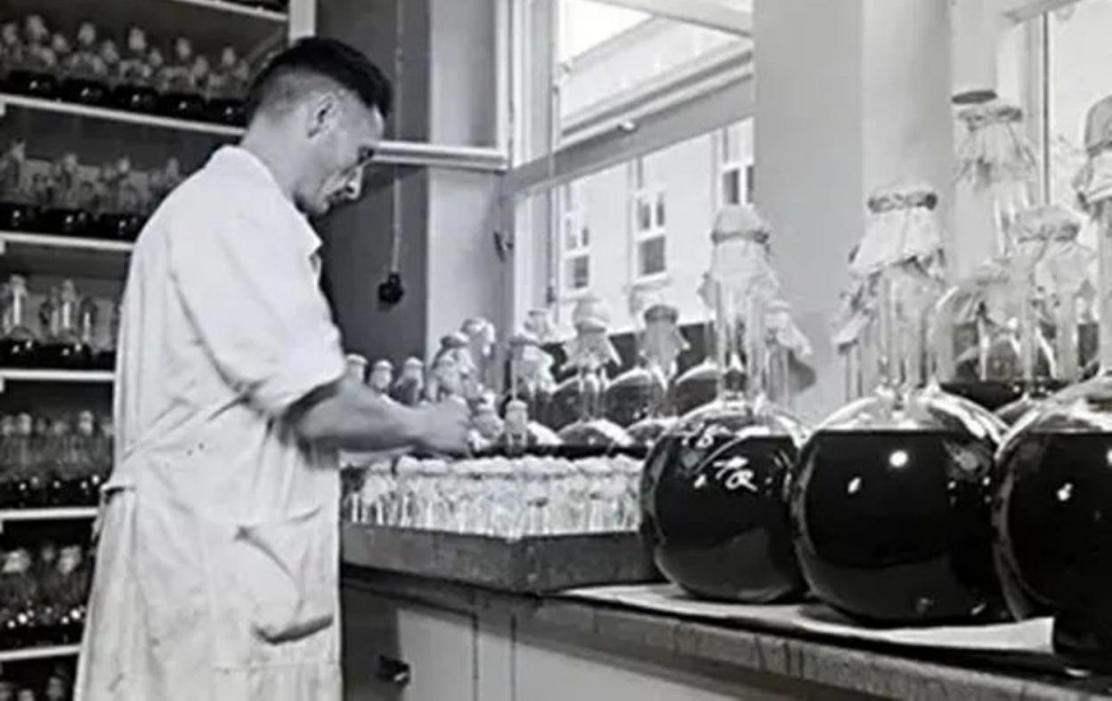 3年赚26亿，卖假药给志愿军，此事惊动毛主席，王康年什么下场？