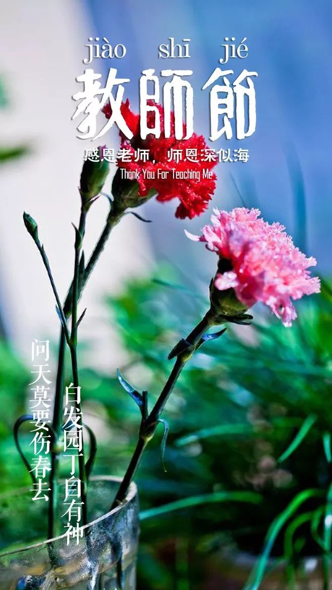 教师节感谢老师的诗句,关于教师节的诗句古诗送给老师