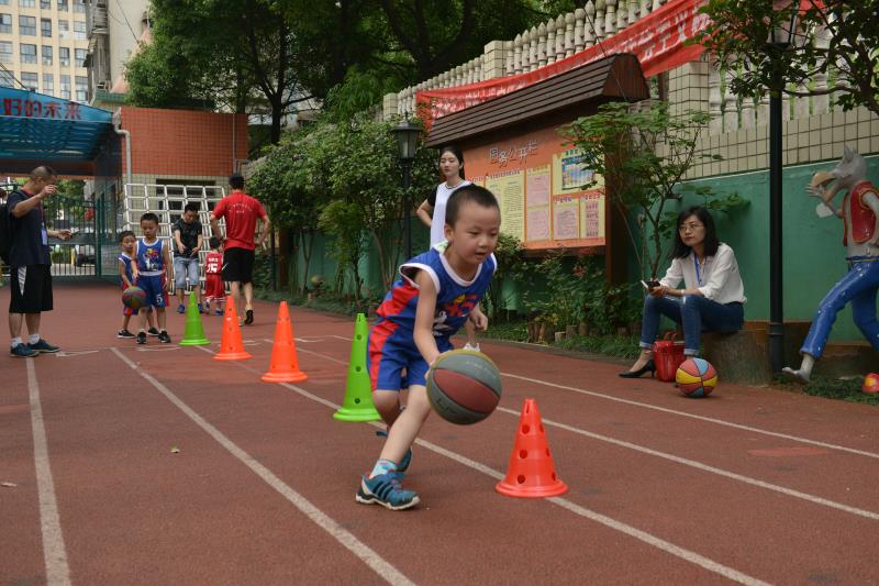 长沙森林自然幼儿园,推荐一所长沙市里的森林幼儿园