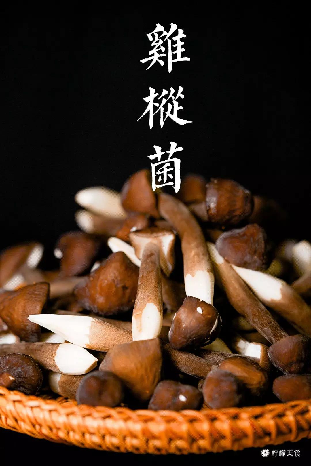 熊本熊南京新开店,熊本熊店怎么样