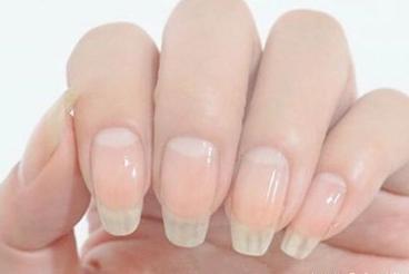 这些很有趣的冷知识你学到了吗？