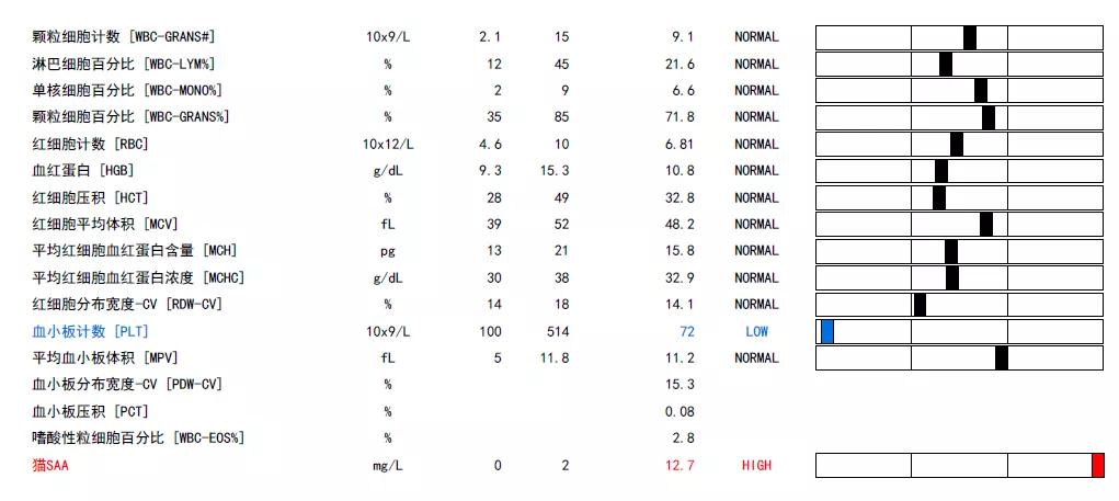 猫咪生病铲屎官上班怎么办,铲屎官治什么病
