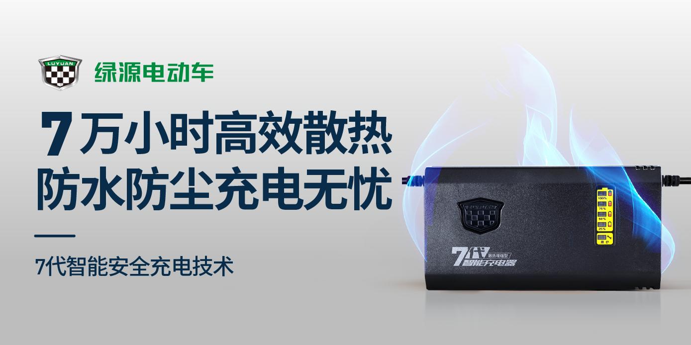 电动车充电器各元件的认识,电动车充电器对应的电池