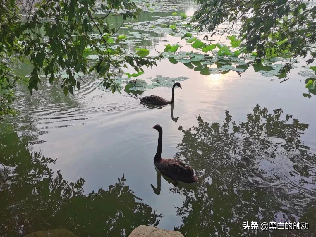 北京的名胜古迹长城,长城故宫名胜古迹