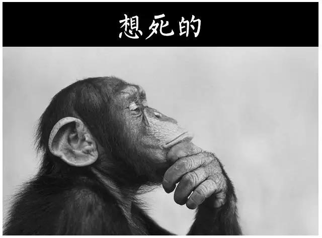 销售的最高境界掌握三大魔鬼法则,顶级销冠的6种销售话术绝招