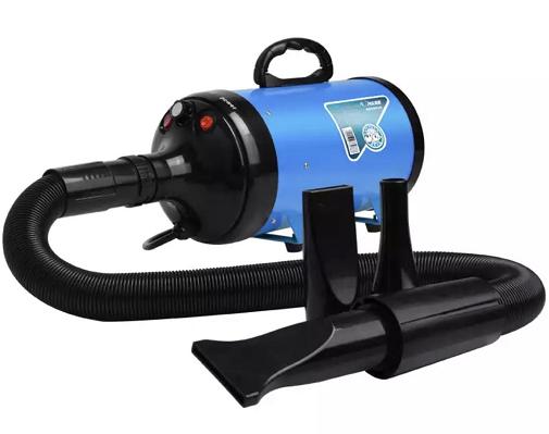 怎么养好一只萨摩耶新手,熊版萨摩耶适合新手养吗