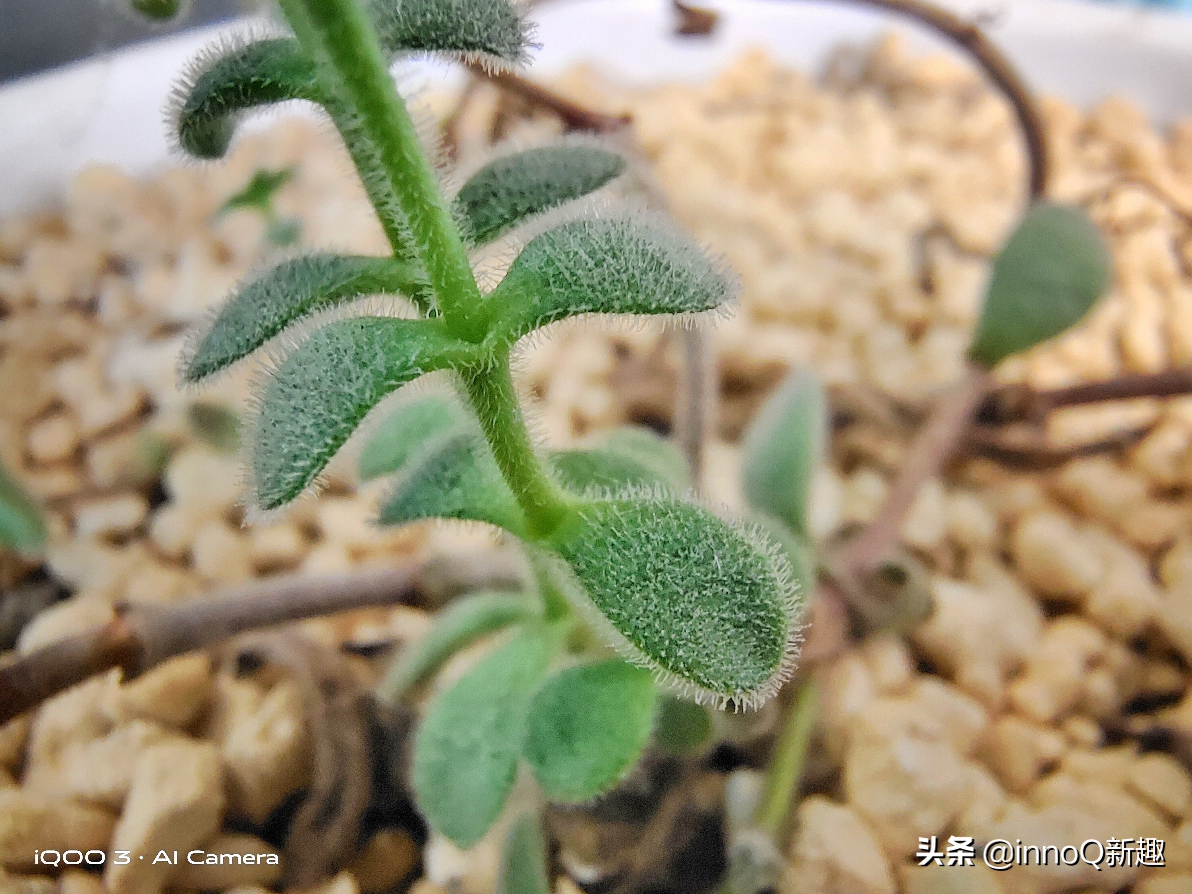 iqoo3优点和缺点,iqoo3三个优缺点