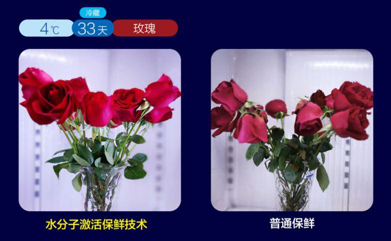 美菱冰箱简评:好看又能打,M鲜生给你想要的极致保鲜
