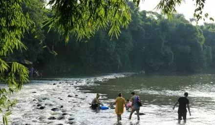 成都秋老虎发威的地方,成都秋老虎最新视频