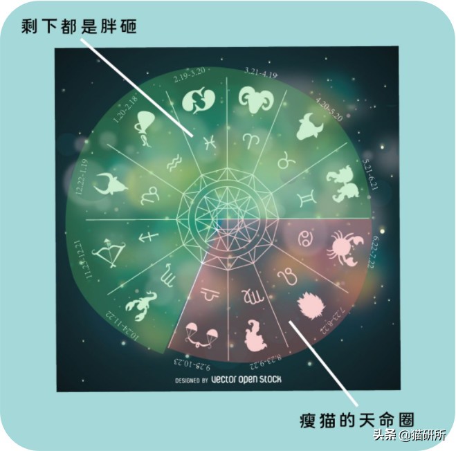 止泻药和猫砂,猫砂是止泻药吗