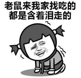 0糖0卡0脂肪的饮料真的无糖吗,揭开0糖0卡0脂肪饮料的真相