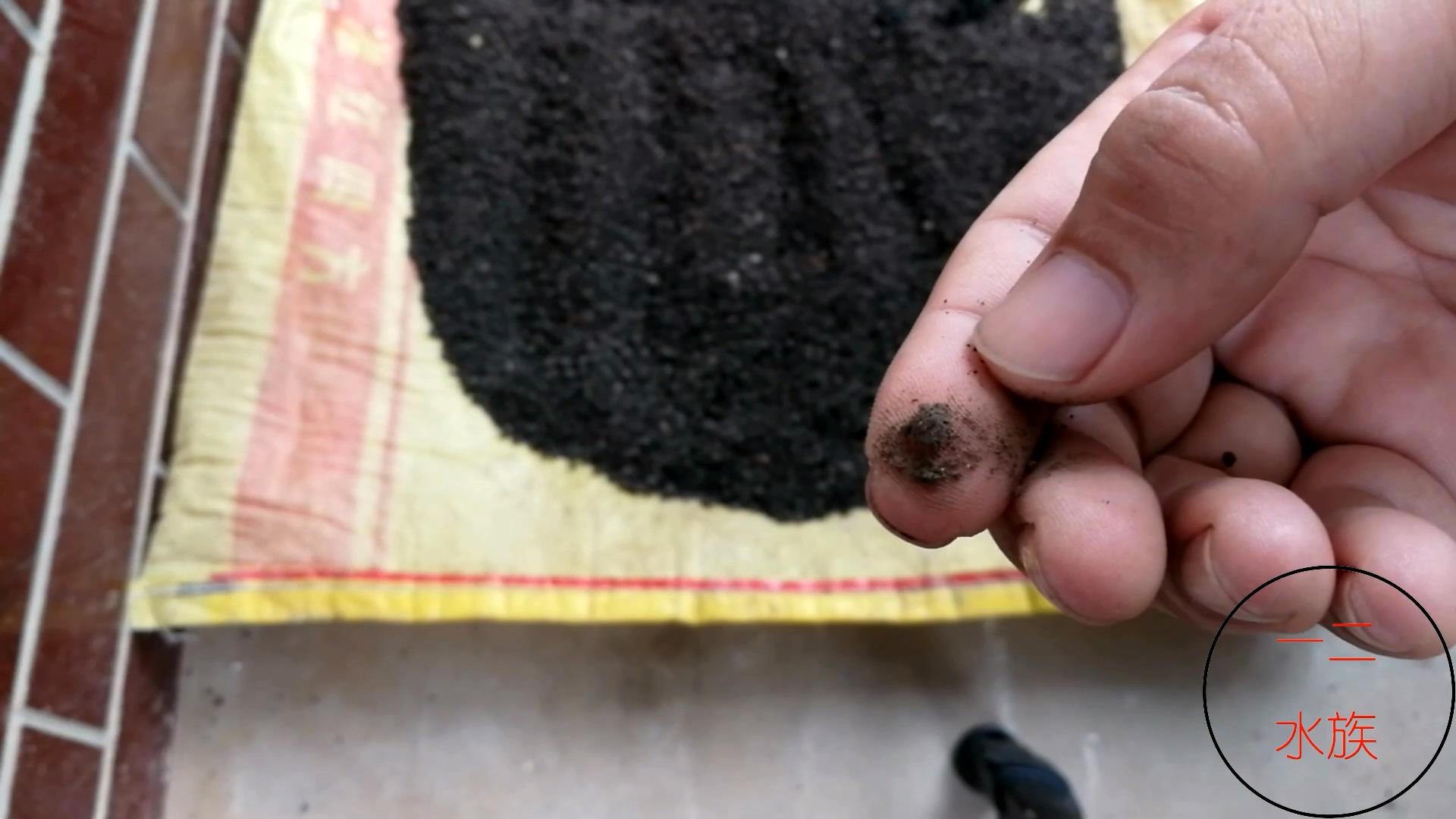 尼特利水草泥一年后能粉化吗,底砂过滤会加速水草泥粉化吗