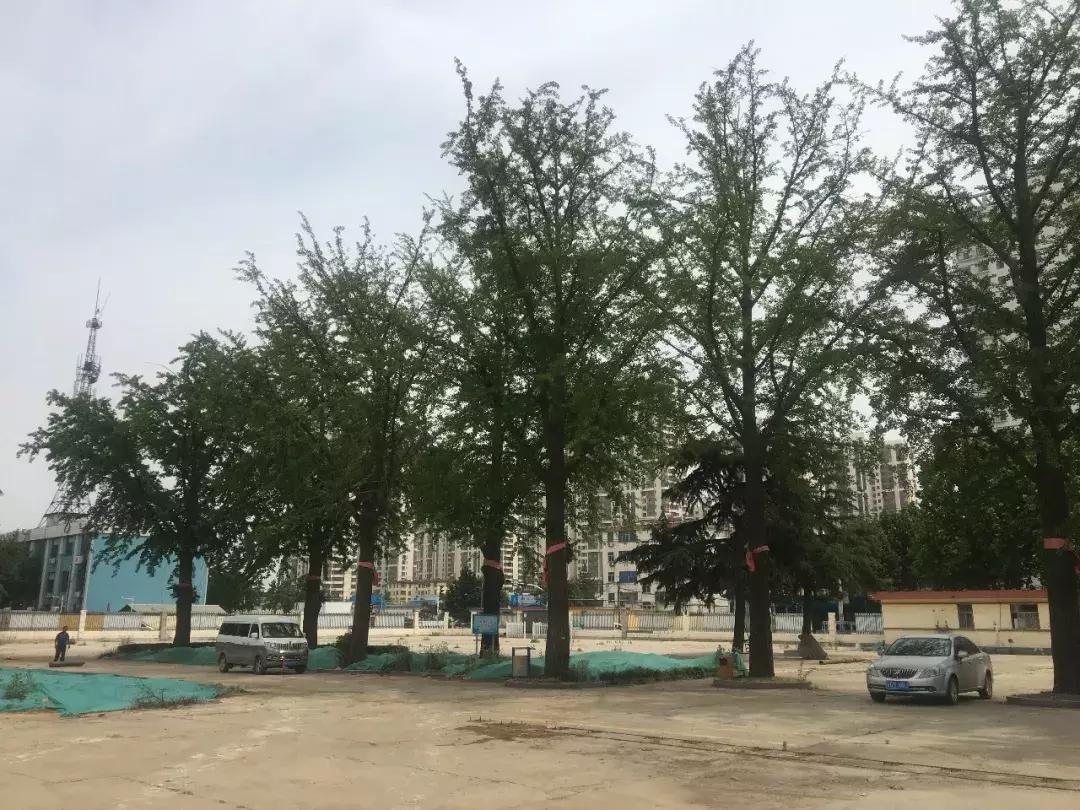 再见了，骨科医院！你好，临沂第十二中学！